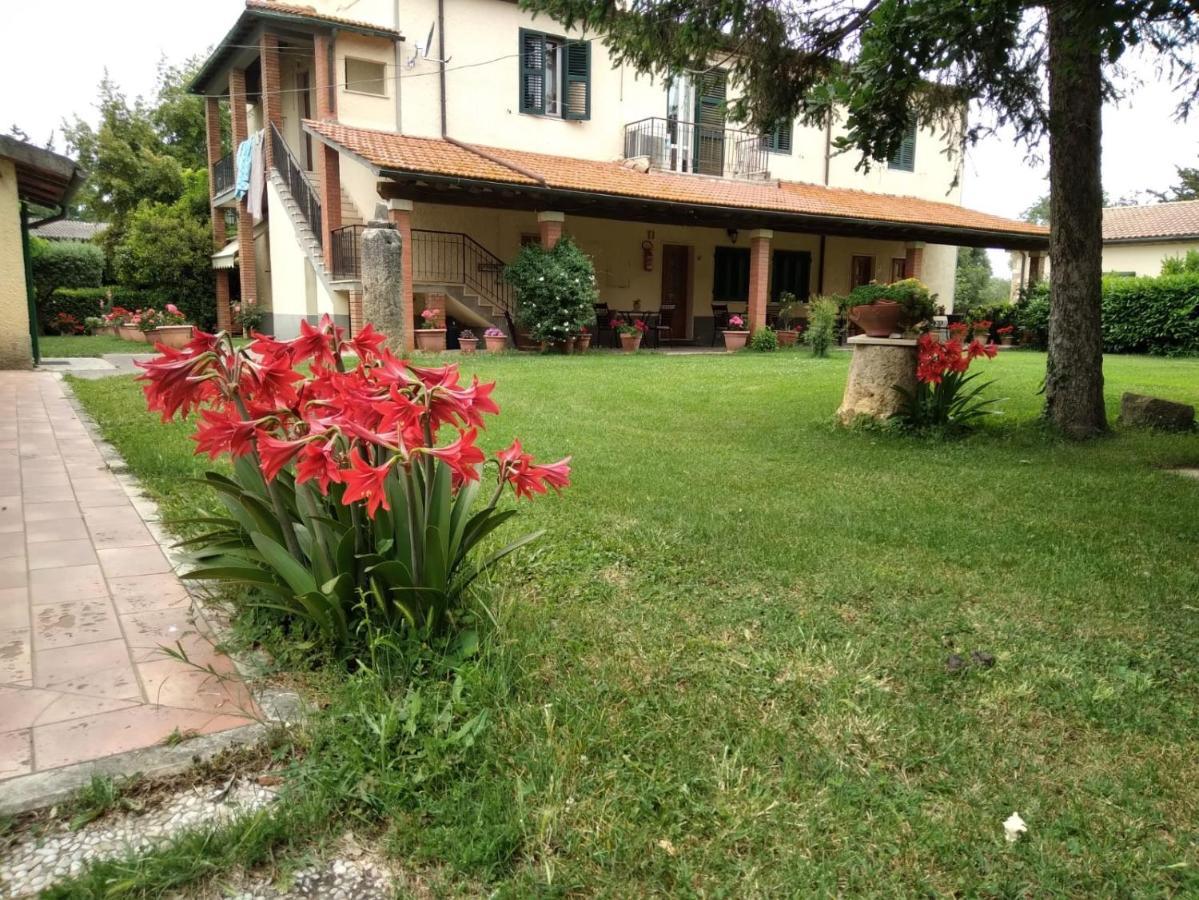 Agriturismo Le Chicche Di Mafalda Montemerano Exteriér fotografie