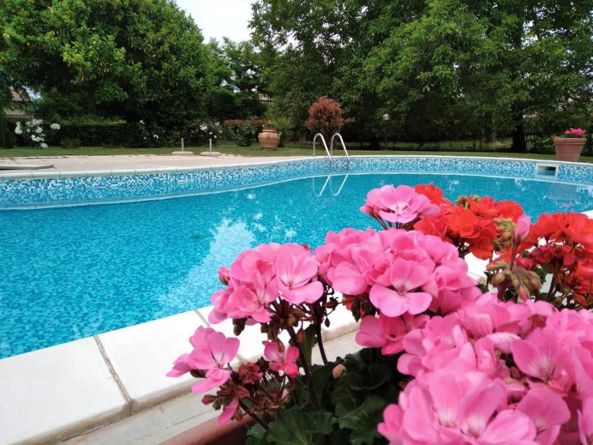 Agriturismo Le Chicche Di Mafalda Montemerano Exteriér fotografie